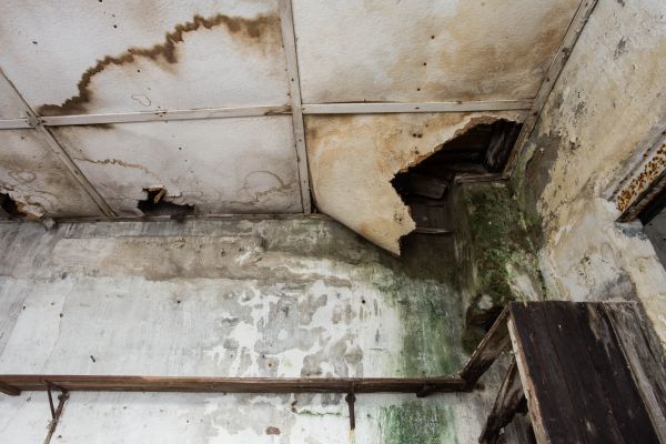 Cost of Water Damage Service in Reno