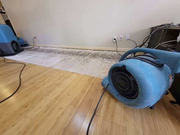 Cost of Water Damage Mitigation in Reno