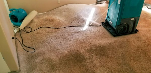 Carpet Water Extraction in Reno