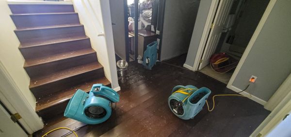 Cost of Water Damage Remediation in Reno