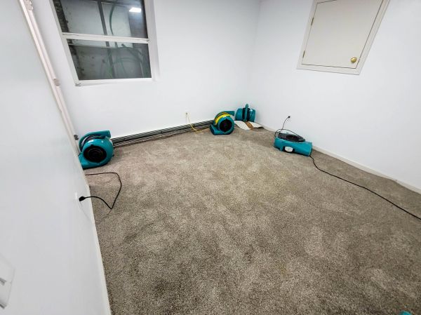 Flood Restoration Service in Reno