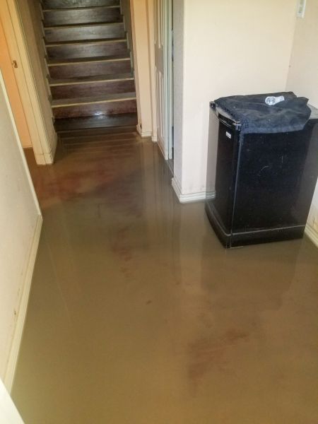 Emergency Water Removal in Reno