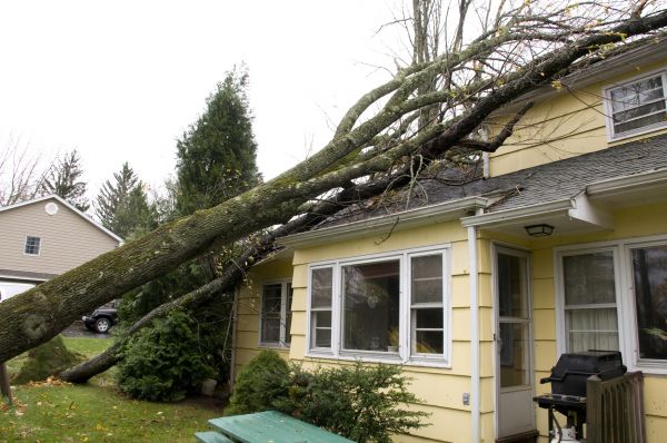 Hurricane Damage Repair in Reno