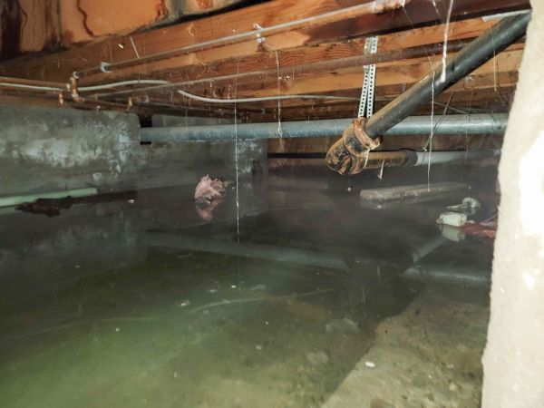 Crawlspace Water Restoration in Reno